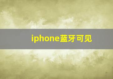 iphone蓝牙可见