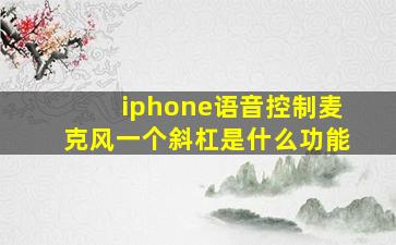 iphone语音控制麦克风一个斜杠是什么功能