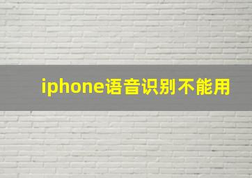 iphone语音识别不能用