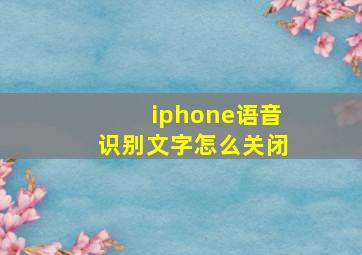 iphone语音识别文字怎么关闭