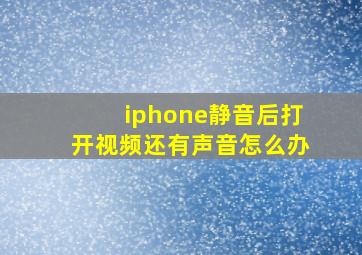 iphone静音后打开视频还有声音怎么办