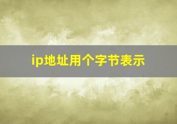 ip地址用个字节表示