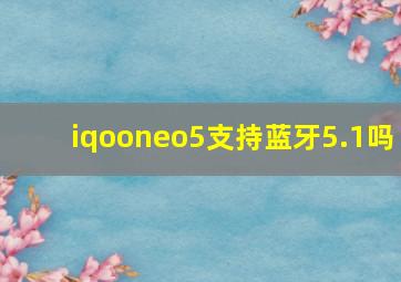 iqooneo5支持蓝牙5.1吗