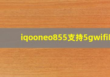 iqooneo855支持5gwifi吗