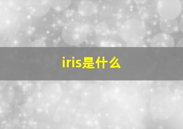 iris是什么