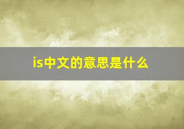 is中文的意思是什么