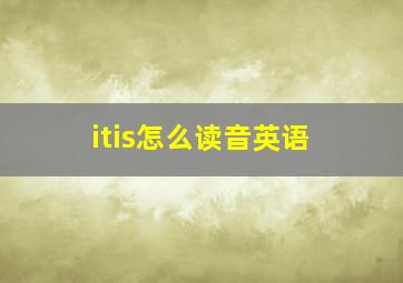 itis怎么读音英语