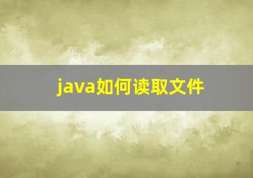 java如何读取文件