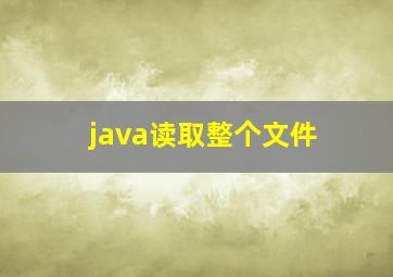 java读取整个文件