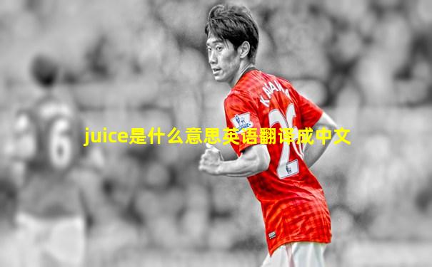 juice是什么意思英语翻译成中文