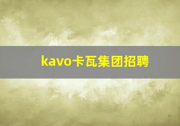 kavo卡瓦集团招聘