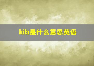 kib是什么意思英语