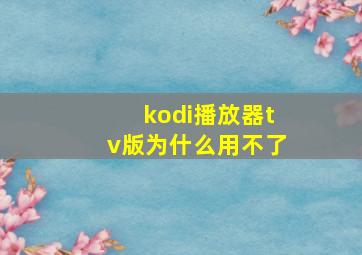 kodi播放器tv版为什么用不了