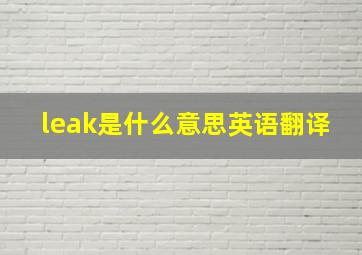 leak是什么意思英语翻译