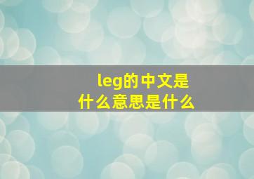 leg的中文是什么意思是什么