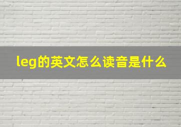 leg的英文怎么读音是什么