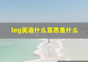 leg英语什么意思是什么