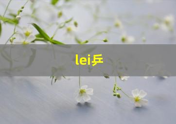 lei乒