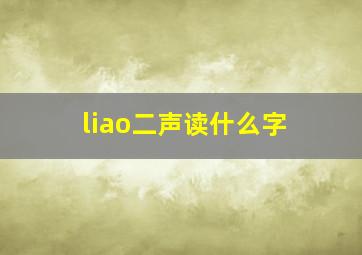 liao二声读什么字