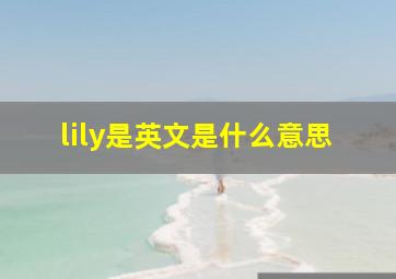 lily是英文是什么意思