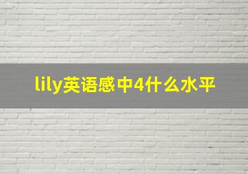 lily英语感中4什么水平