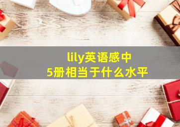 lily英语感中5册相当于什么水平