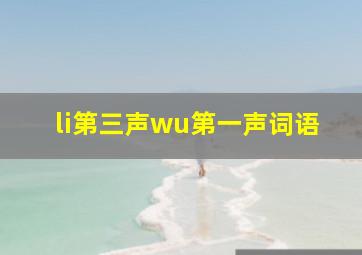 li第三声wu第一声词语