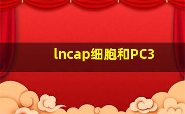 lncap细胞和PC3