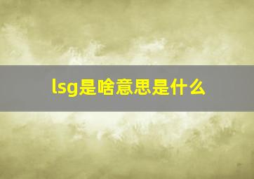 lsg是啥意思是什么