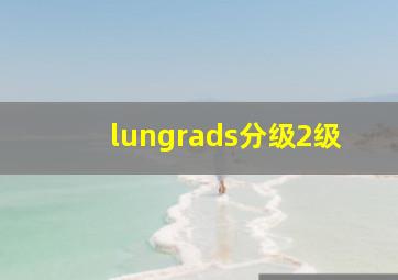 lungrads分级2级