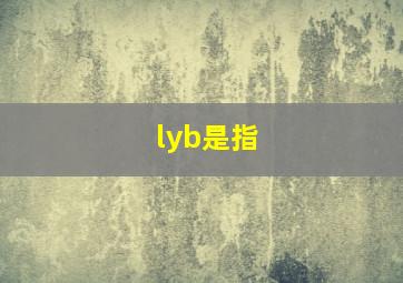 lyb是指