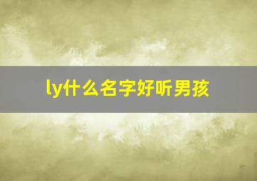 ly什么名字好听男孩