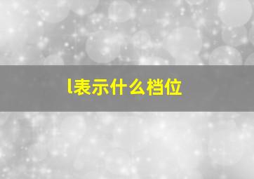 l表示什么档位