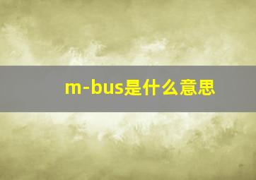 m-bus是什么意思