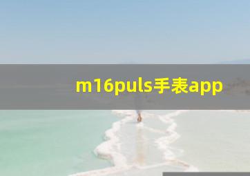 m16puls手表app