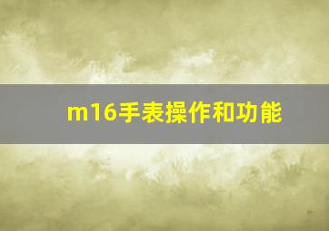 m16手表操作和功能