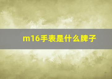 m16手表是什么牌子