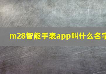 m28智能手表app叫什么名字