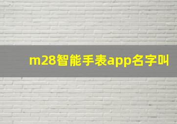 m28智能手表app名字叫