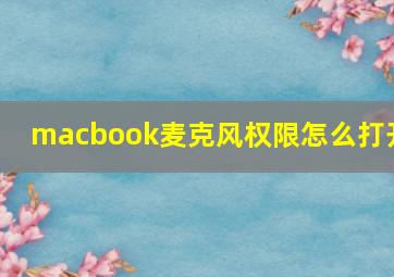 macbook麦克风权限怎么打开