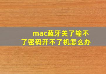 mac蓝牙关了输不了密码开不了机怎么办