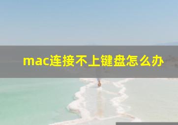 mac连接不上键盘怎么办