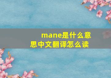 mane是什么意思中文翻译怎么读