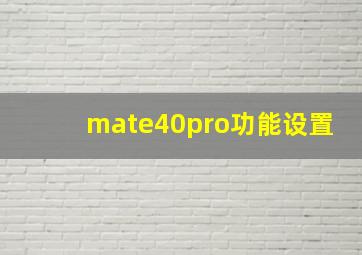 mate40pro功能设置