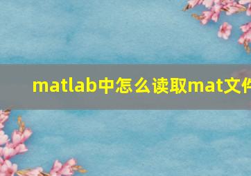 matlab中怎么读取mat文件