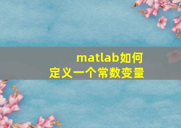 matlab如何定义一个常数变量