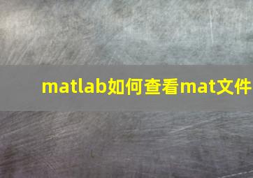 matlab如何查看mat文件