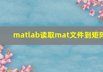 matlab读取mat文件到矩阵