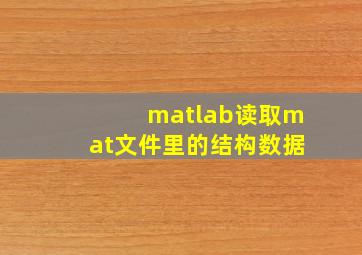 matlab读取mat文件里的结构数据