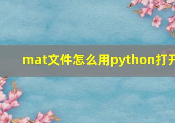 mat文件怎么用python打开